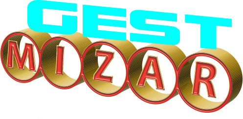 Gestionale Mizar